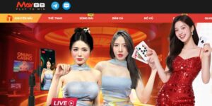 May88 - Trải Nghiệm Cá Cược Đỉnh Cao Cam Kết Hợp Pháp